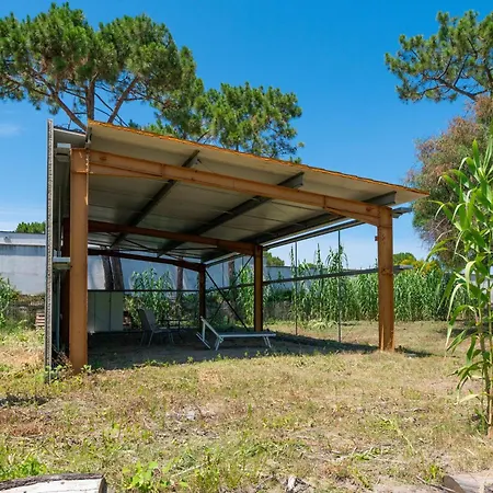 La Dolce 8 - Le Cedrat Borgo (Corsica)