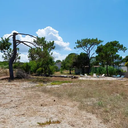 La Dolce 8 - Le Cedrat *