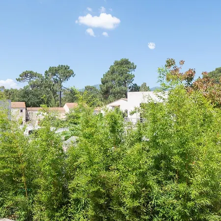 La Dolce 8 - Le Cedrat Appartement Borgo (Corsica)